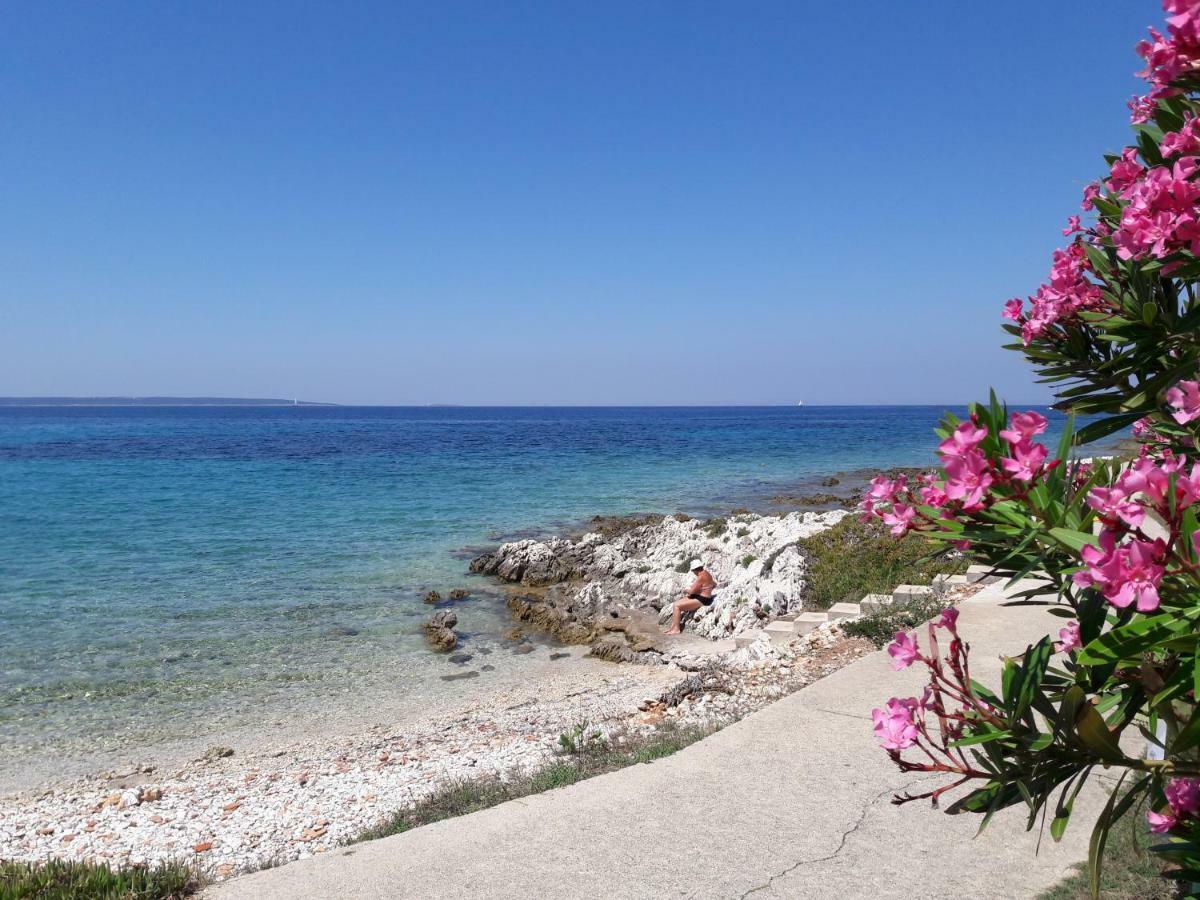 Apartment Marina Silba Dış mekan fotoğraf